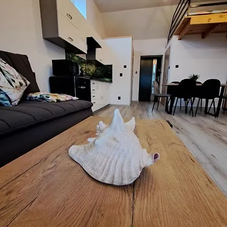 Z Antresola ミコシェボ