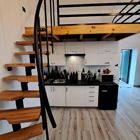 Z Antresola ミコシェボ