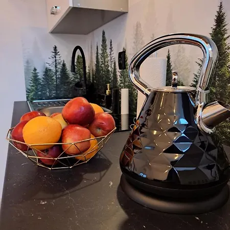 Z Antresola アパート ミコシェボ