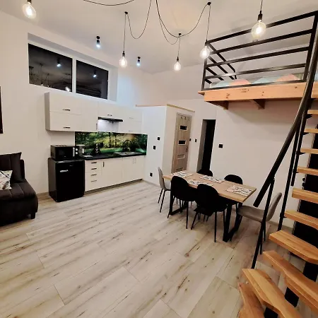 Z Antresola * ミコシェボ